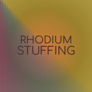 Various Artists的專輯Rhodium Stuffing