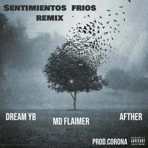 AFTHER的專輯Sentimientos Frios (Remix) (Explicit)