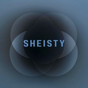 Album Sheisty (Explicit) from Orphan Andy