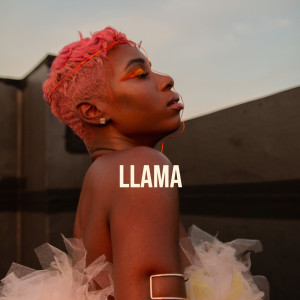 Listen to Llama (Explicit) song with lyrics from Purp