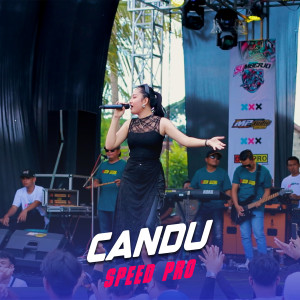 Album Candu from Speed Pro
