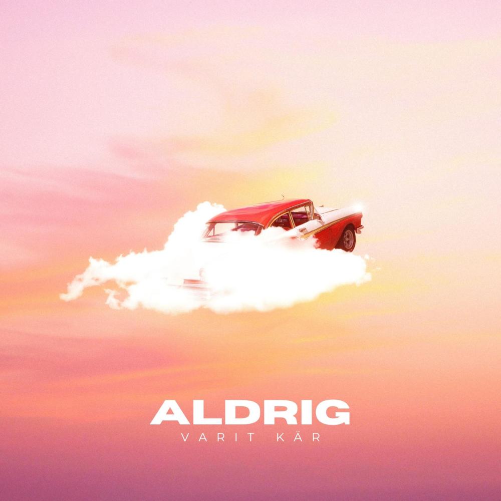 Aldrig Varit Kär (Remix)