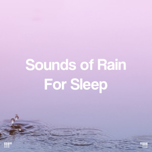 อัลบัม "!!! Sounds of Rain For Sleep!!!" ศิลปิน Meditation Rain Sounds
