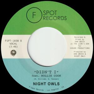 อัลบัม Didn't I (feat. Hollie Cook) ศิลปิน Night Owls