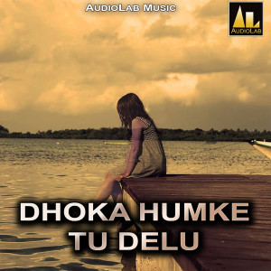 Listen to Kahe Shadi Kailu song with lyrics from Sajan Deewana