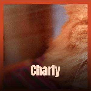 Album Charly oleh Various