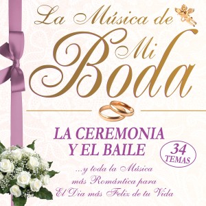 ดาวน์โหลดและฟังเพลง How Am I Supposed To Live Without You, Boda พร้อมเนื้อเพลงจาก Wedding Favourites Orchestra
