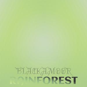 Listen to Forever Damn song with lyrics from Elber Teron