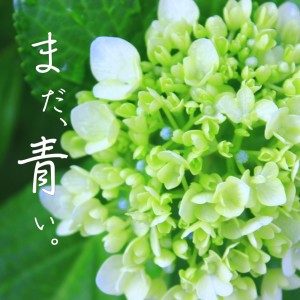 Listen to まだ、青い。 song with lyrics from Nakána