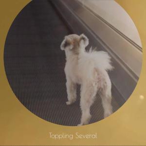 Listen to Toppling Several song with lyrics from Kallia Ifey