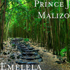 Listen to Emelela song with lyrics from prince j malizo