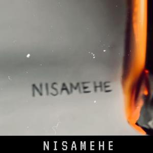 Fee的專輯Nisamehe