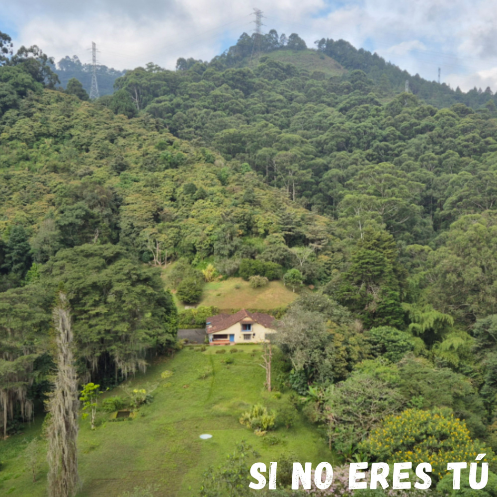 Si no eres tú