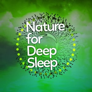 ดาวน์โหลดและฟังเพลง Forest Afternoon พร้อมเนื้อเพลงจาก The Sounds of Earth Group