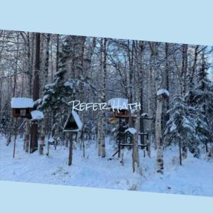Listen to Claus Pleasure song with lyrics from Otilie Joze