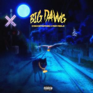 收聽Checksfromngs的Big Dawg (feat. Asia Meels) (Explicit)歌詞歌曲