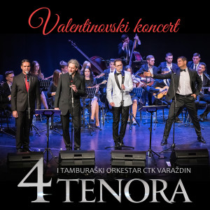 Listen to Galeb i ja (Live) song with lyrics from 4 Tenora