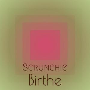 Album Scrunchie Birthe from Various