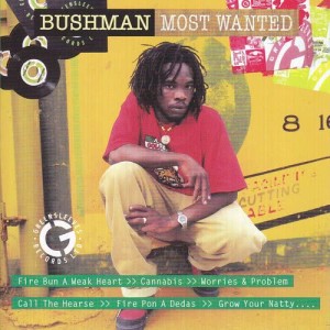ดาวน์โหลดและฟังเพลง Light It Up พร้อมเนื้อเพลงจาก Bushman
