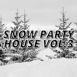 อัลบัม Snow Party House Vol.3 ศิลปิน Various