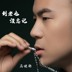 Listen to 到老也没忘记 song with lyrics from 马健南