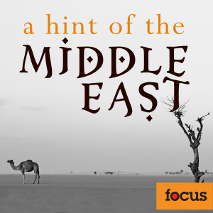 Hint of the Middle East dari Various
