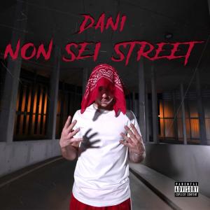 收聽Dani的Non sei Street (Explicit)歌詞歌曲