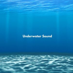 Meeresrauschen zum Einschlafen的專輯Ocean & Underwater Sound