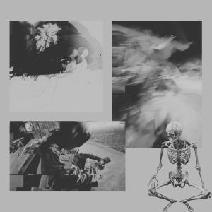 Album All The Stars Have Fallen (Explicit) from Tre Swervin