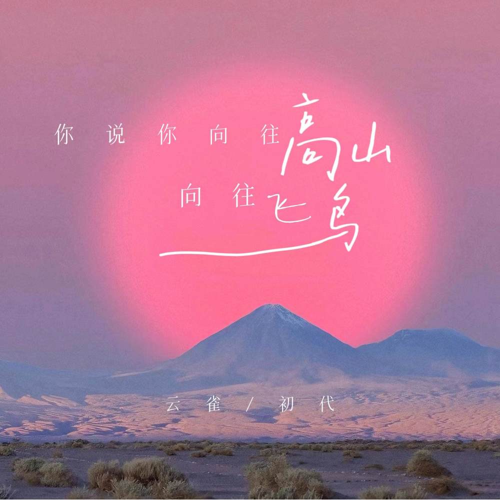 你说你向往高山向往飞鸟 (伴奏)