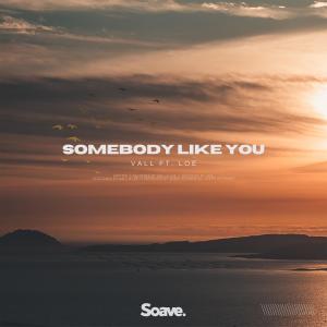 Listen to Somebody Like You(feat. Loé) song with lyrics from VALL