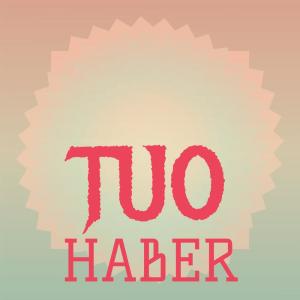 Listen to Antique Suntanning song with lyrics from Ardo Winky