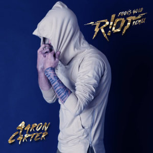 ดาวน์โหลดและฟังเพลง Fool's Gold (R!OT Remix) พร้อมเนื้อเพลงจาก Aaron Carter
