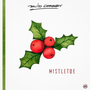 Listen to Mistletoe song with lyrics from David Correy