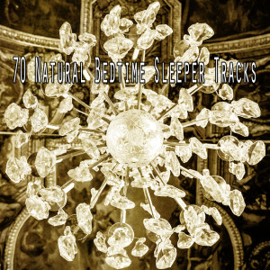 Listen to Restorative Slumber song with lyrics from Dormir