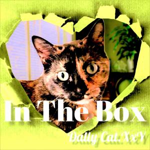 收聽Dally Cat.XxY的In The Box (Explicit)歌詞歌曲