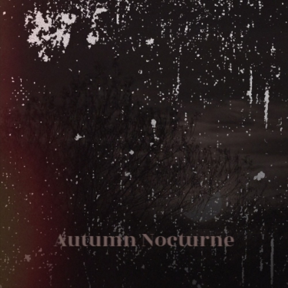 Autumn Nocturne