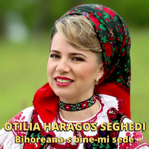 Listen to Deschide Gazda Usile song with lyrics from Otilia Haragos Seghedi