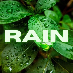 Listen to RAIN song with lyrics from Calm Down