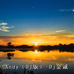 Album Andy(DJ版) oleh Dj金诚