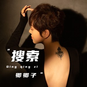 Listen to 搜索 (伴奏) song with lyrics from 卿卿子