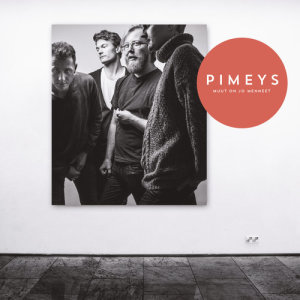 ดาวน์โหลดและฟังเพลง Veli พร้อมเนื้อเพลงจาก Pimeys