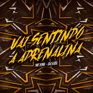 Album Vai Sentindo a Adrenalina from mc smk