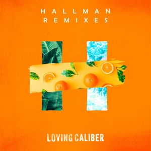 收听Loving Caliber的Say We're Sorry (Hallman Remix)歌词歌曲