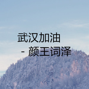 ดาวน์โหลดและฟังเพลง 武汉加油 พร้อมเนื้อเพลงจาก 颜王词泽