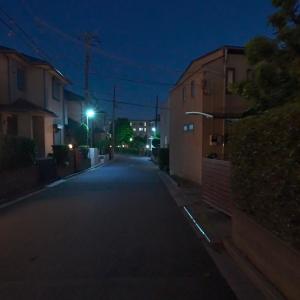 收聽Mariniwa的Desolate歌詞歌曲