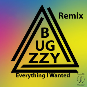 BugZzy的專輯Everything I Wanted (Remix)