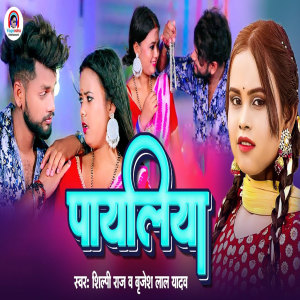 Listen to Payaliya song with lyrics from Shilpi Raj