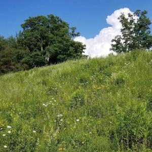 收聽BLUU!的WRECK! (Bonus Track)歌詞歌曲