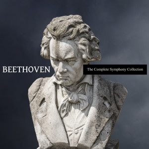 ดาวน์โหลดและฟังเพลง Symphony no. 5 in Cm, Op. 67 - III. Allegro attacca พร้อมเนื้อเพลงจาก Ludwig van Beethoven
